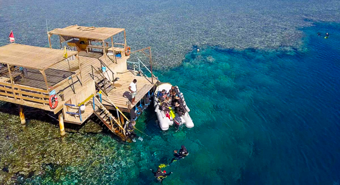 WONDERFUL DIVE MARSA ALAM